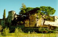 Walls of Montefioralle
